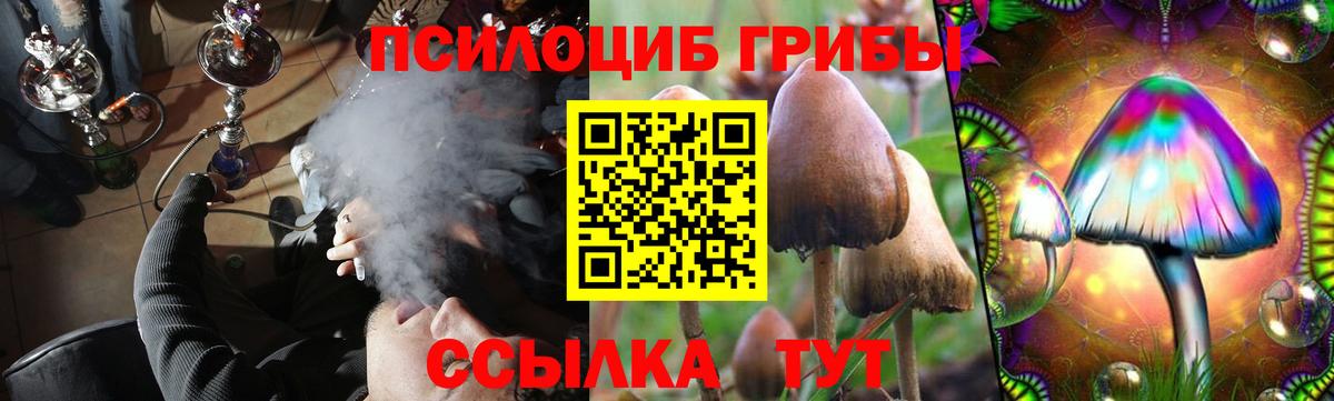 Псилоцибиновые грибы прущие грибы  Вход с VPN  Галлюциногенные грибы Psilocybine cubensis  Сланцы 